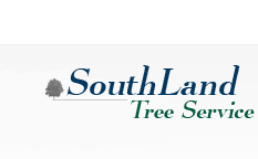 Tree Service Gwinnett County
