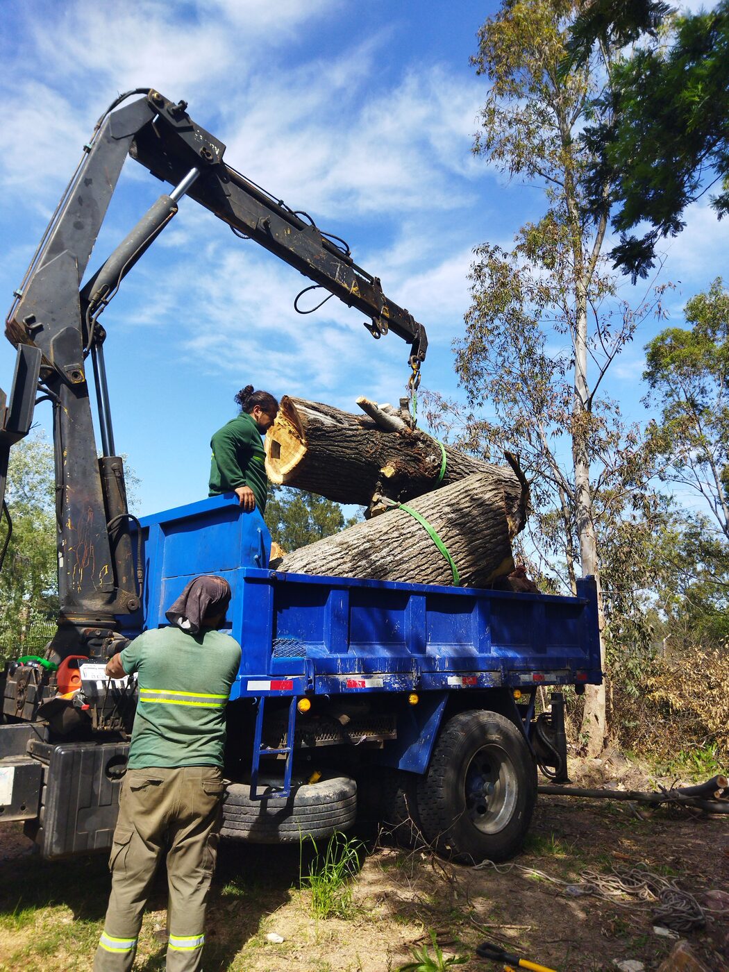 Crane-assisted tree removal crew at work in Milton, GA