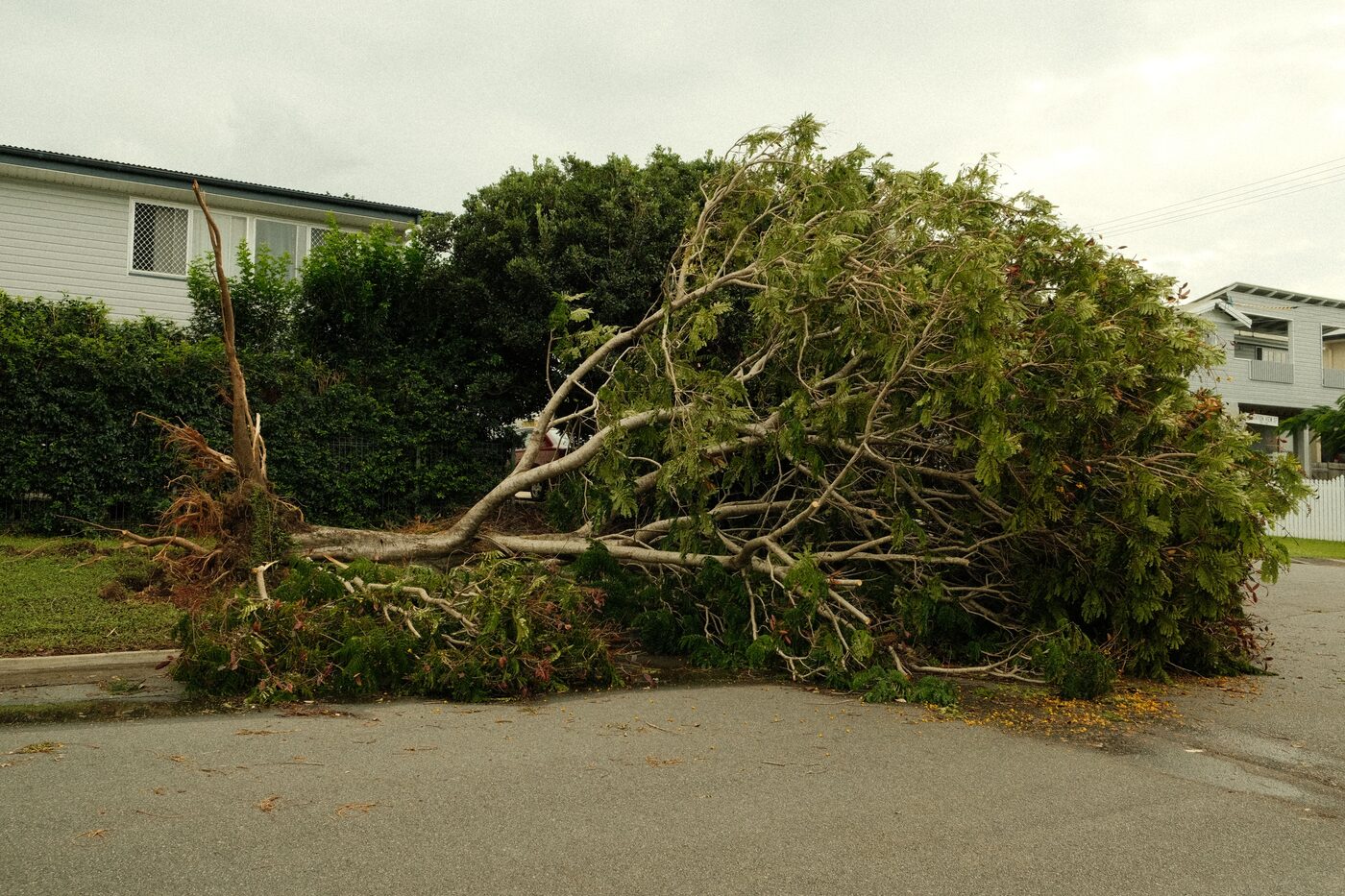 Fallen tree removal after a storm in Tucker, GA