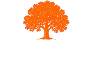 Atlanta Emergency Tree Removal | Emergency Tree Removal Atlanta